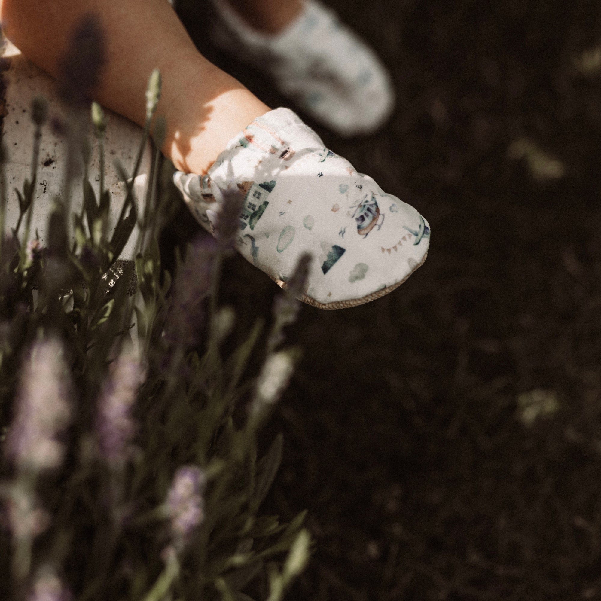 Presseartikel Cosy Roots