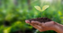 Greenwashing - Definition & Beispiele