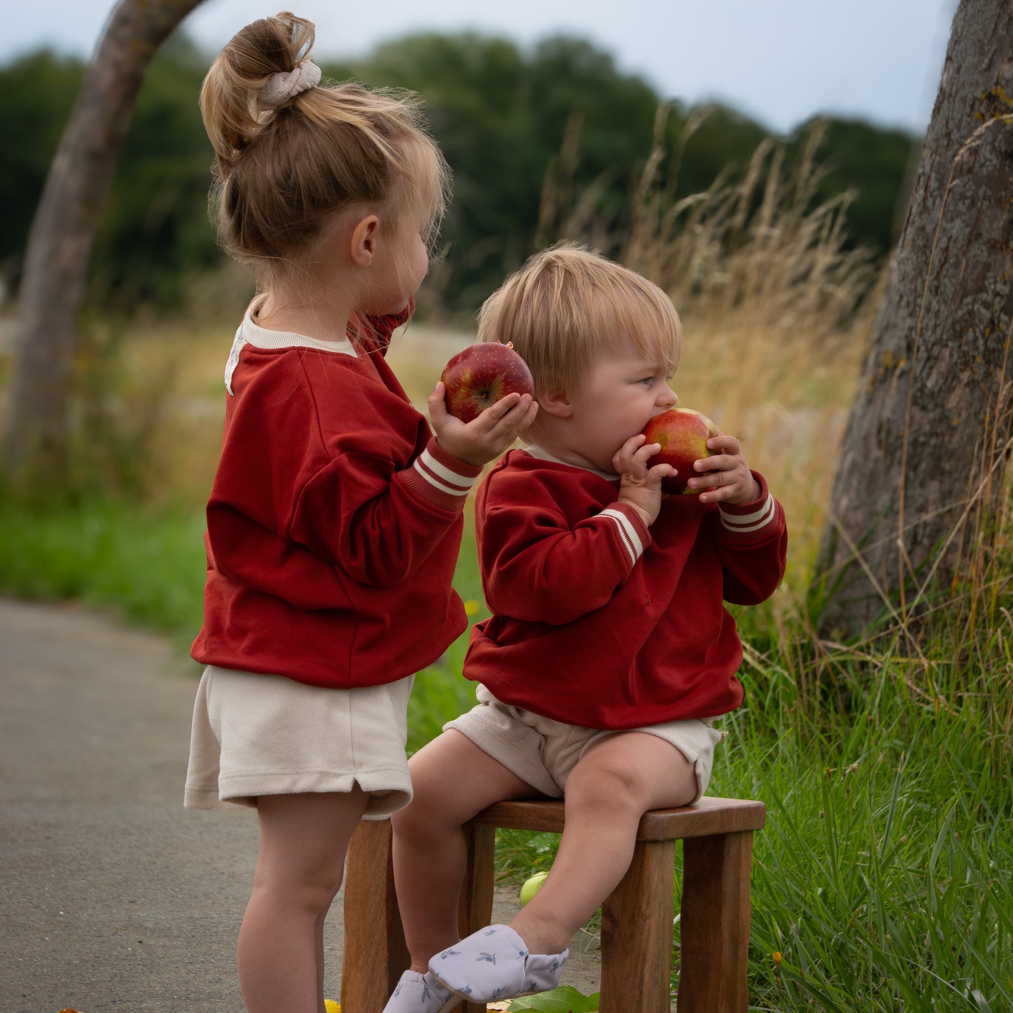 Family Sweatshirt - Vintage Red