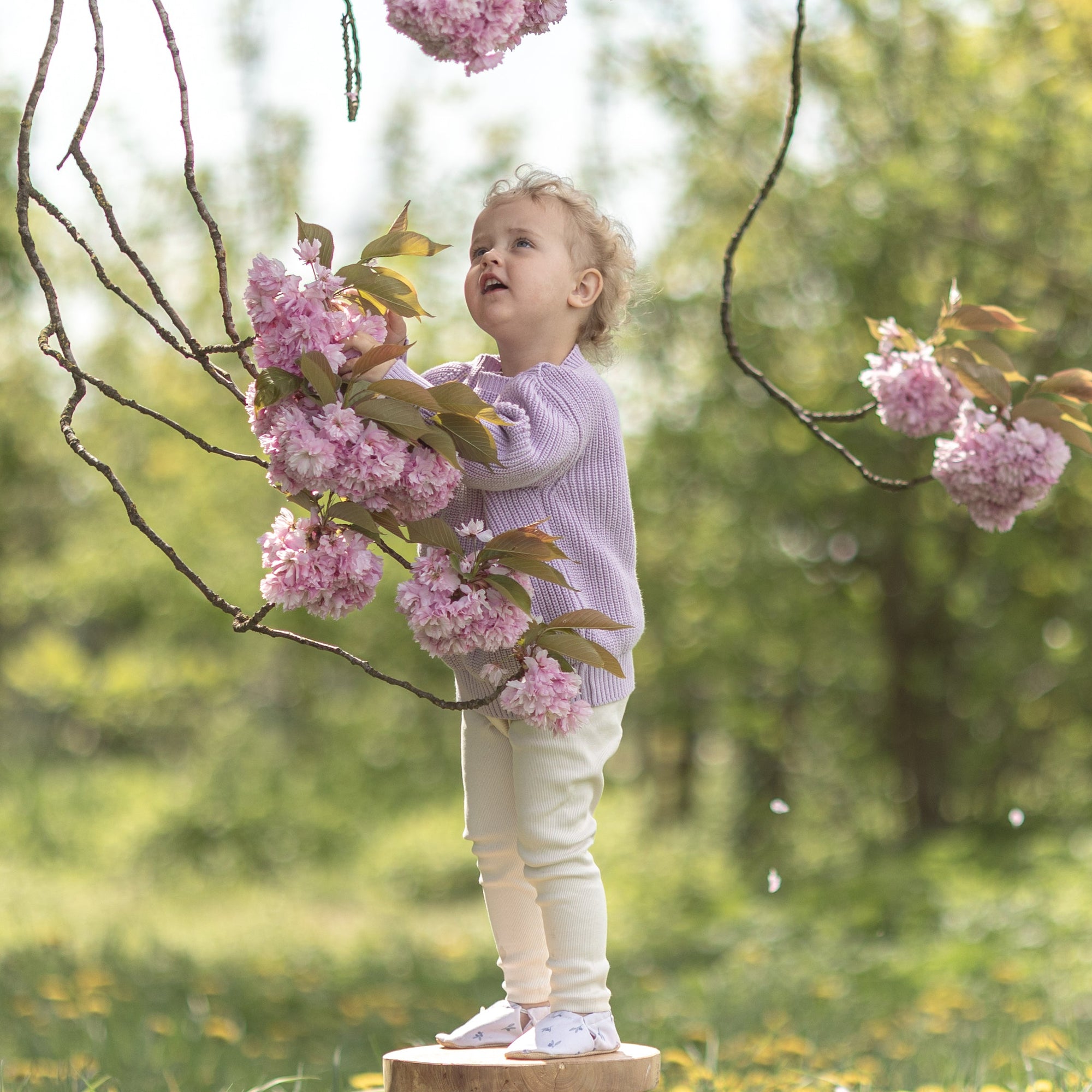 Organic Oversize Knit Pulli - Lavender