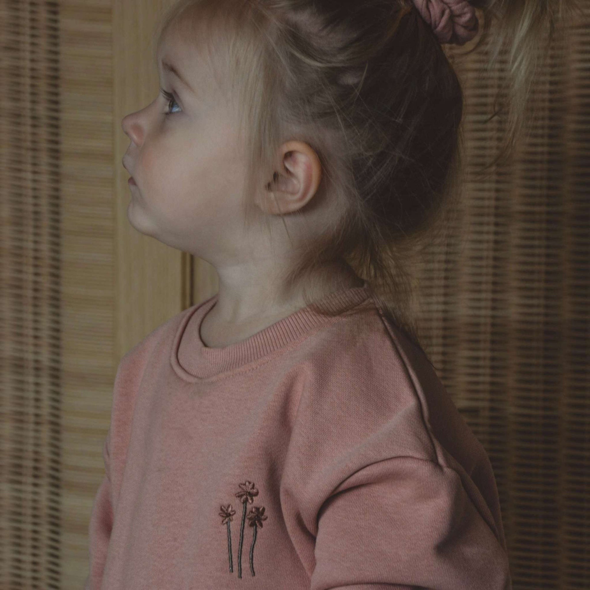 Family Sweatshirt - Dusty Rose