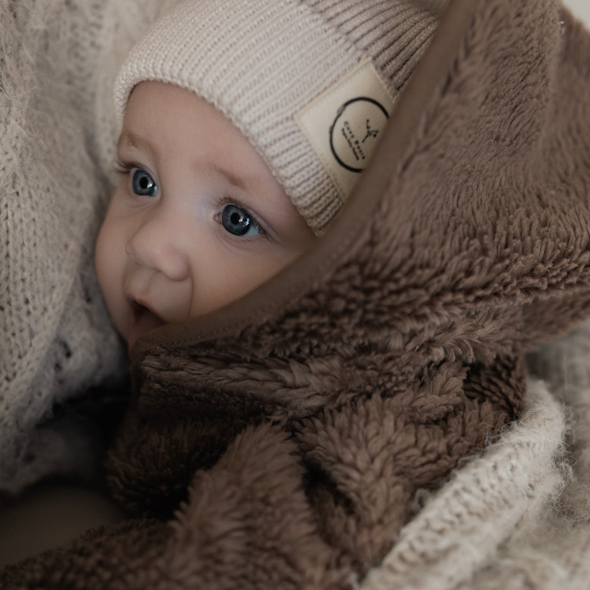 Organic Teddy Jacket - Mocha