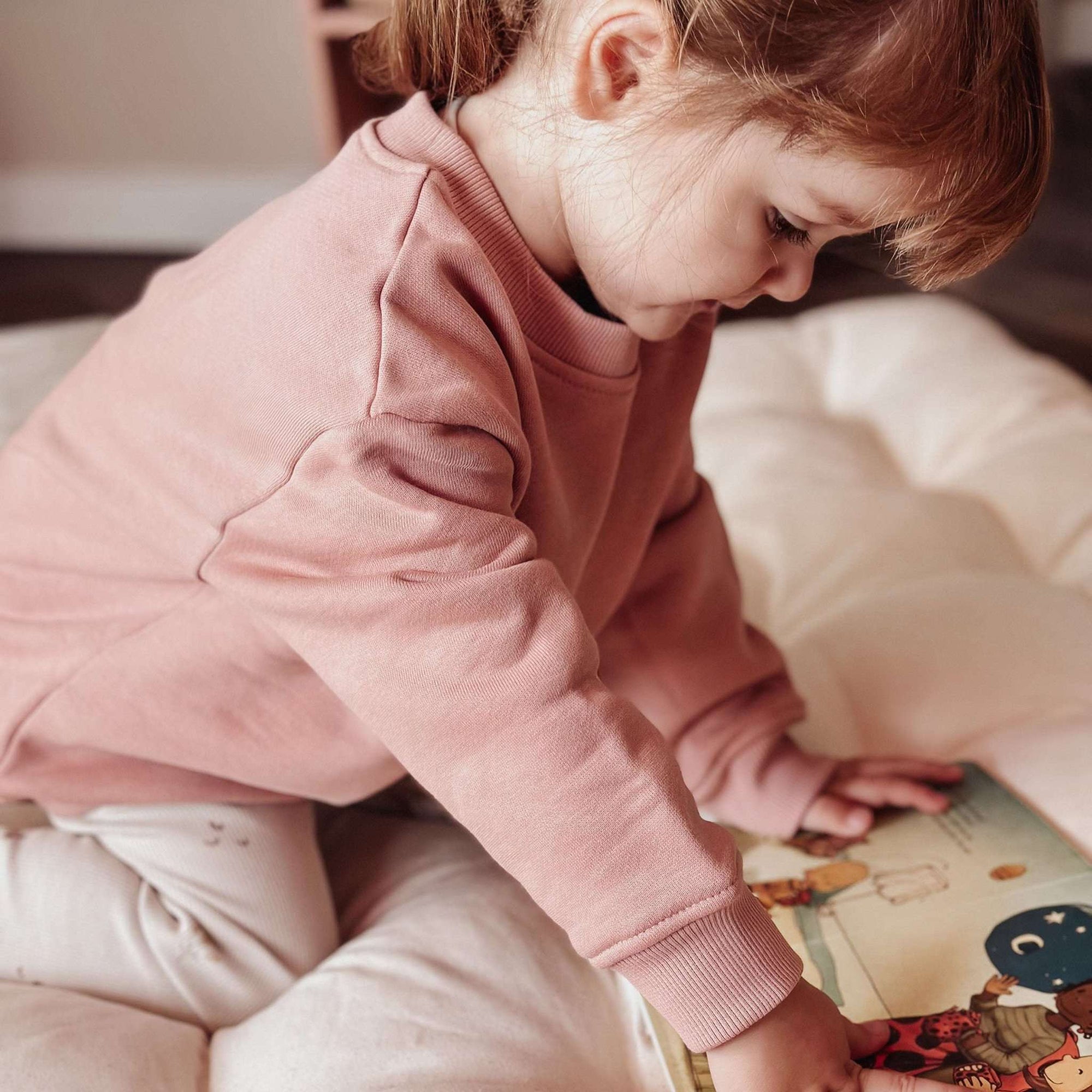 Family Sweatshirt - Dusty Rose