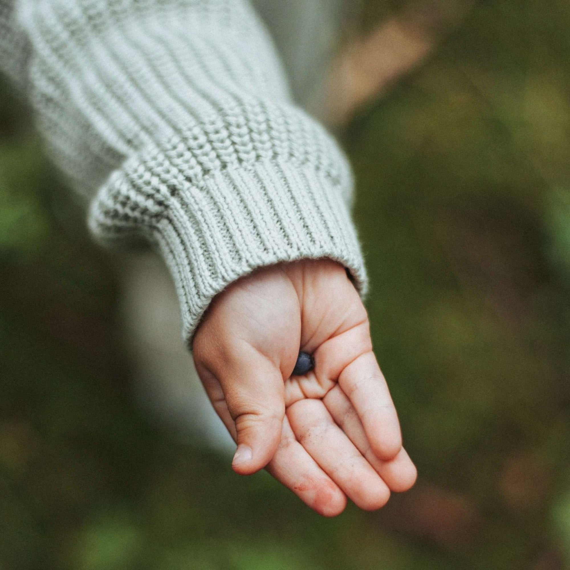 Organic Knit Cardigan - Seagrass