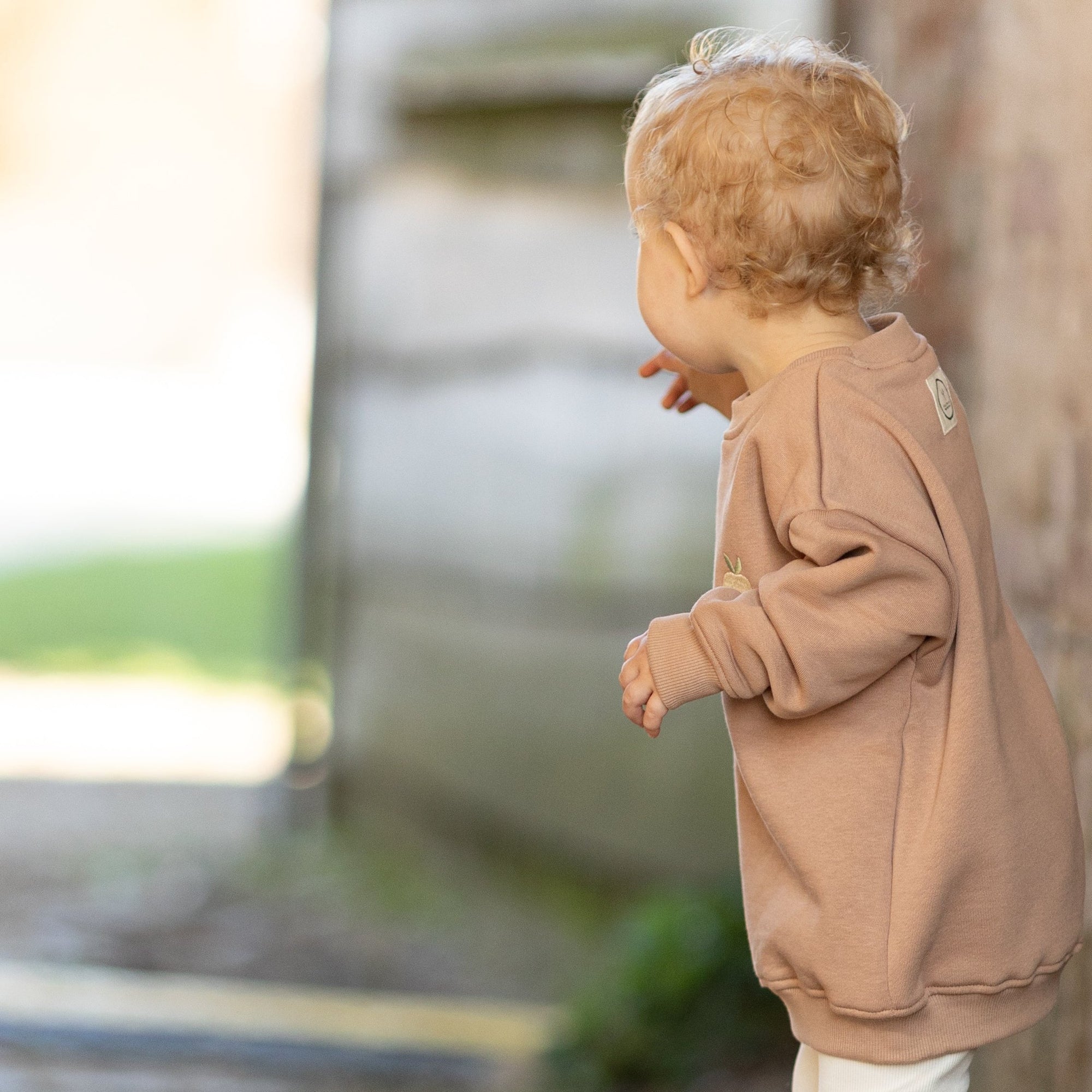 Family Sweatshirt - Walnut